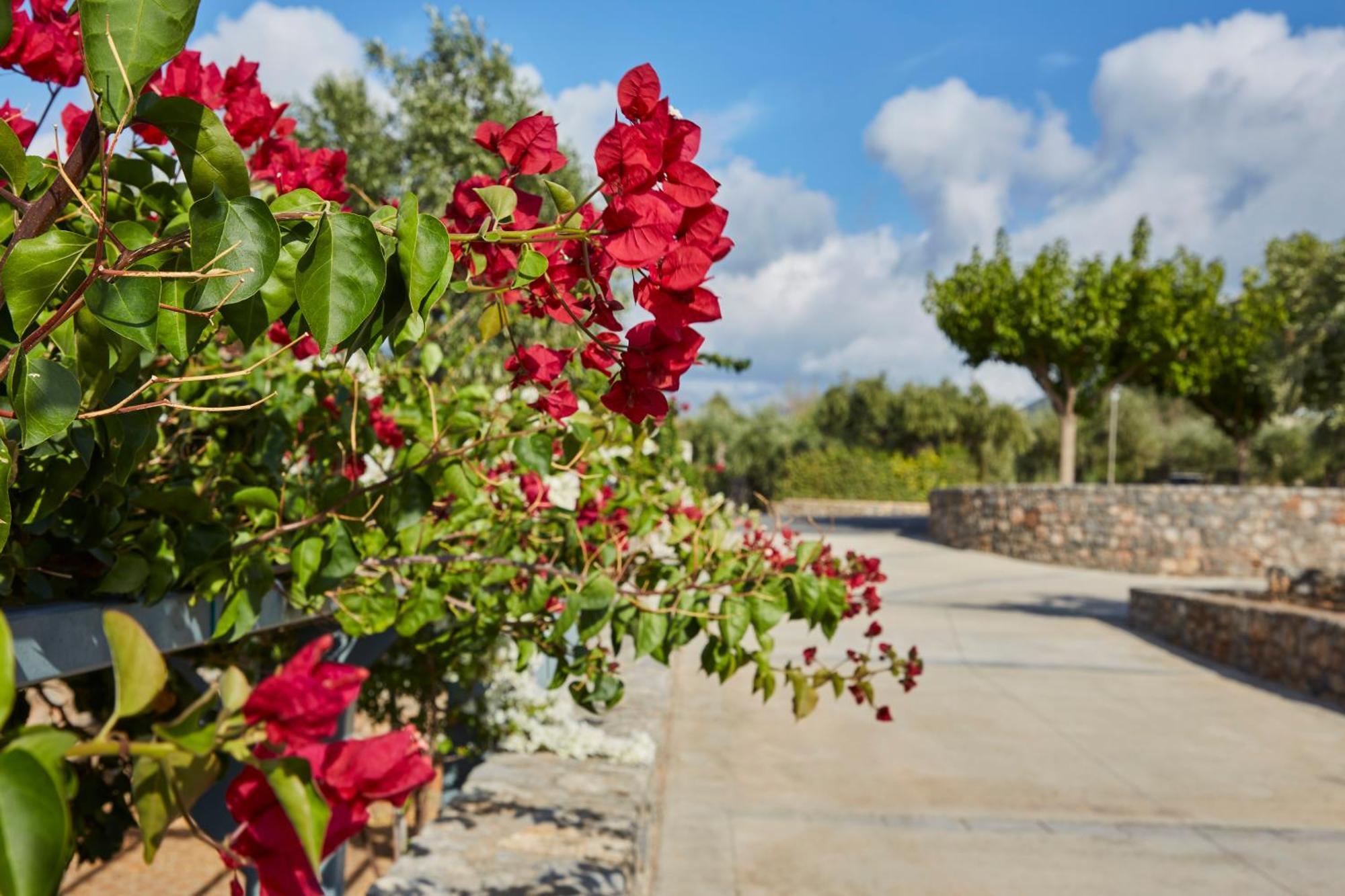 Kitriaí Searocks Villas Exclusive Resort מראה חיצוני תמונה